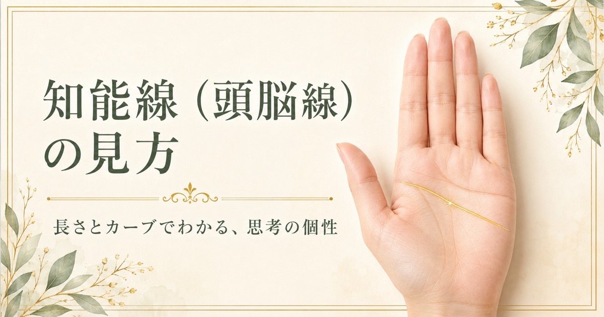 知能線（頭脳線）の見方。手のひらを横切る知能線の位置を示した画像