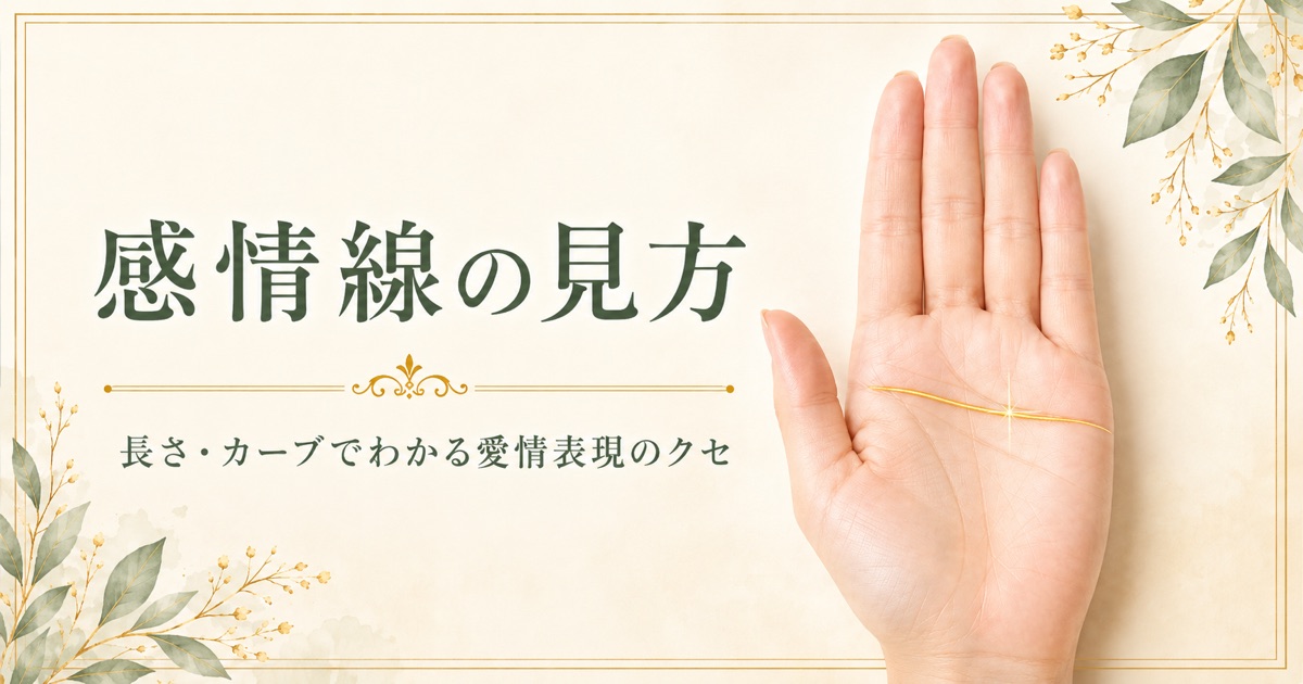 感情線の見方。小指側から人差し指の方へ横に伸びる感情線の位置を示した画像