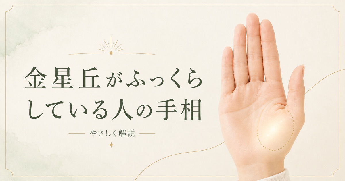 金星丘がふっくらしている人の手相
