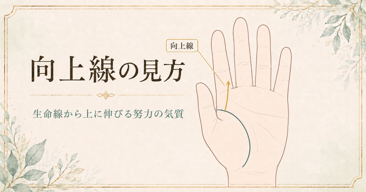 向上線の見方。生命線の内側から上へ伸びる向上線の位置を示した画像