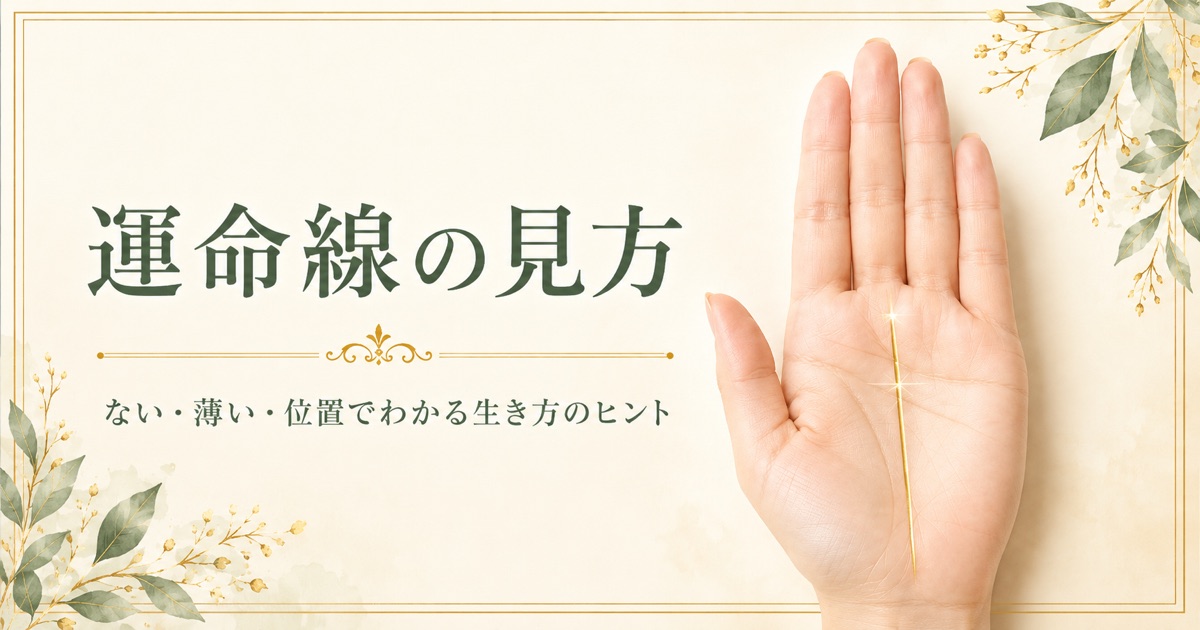 運命線の見方。手のひらを縦に上る運命線の位置を示した画像