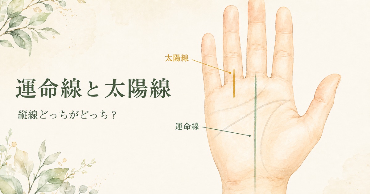 運命線と太陽線の見分け方。中指に向かう縦線が運命線、薬指に向かう縦線が太陽線であることを示す図解
